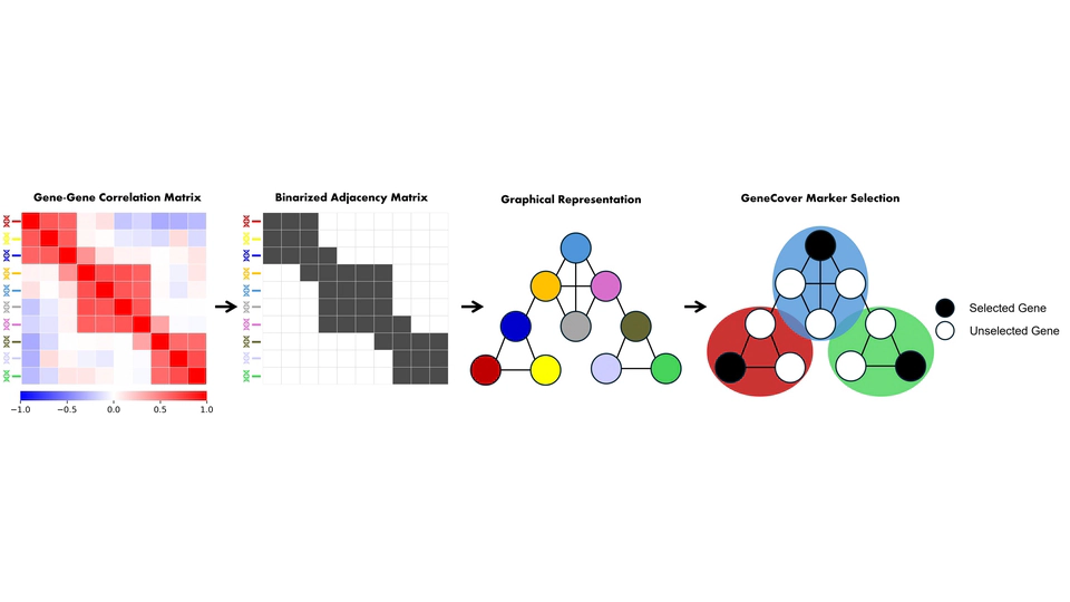 GeneCover: A Combinatorial Approach for Label-free Marker Gene Selection