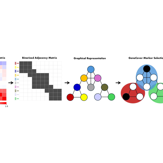 GeneCover: A Combinatorial Approach for Label-free Marker Gene Selection